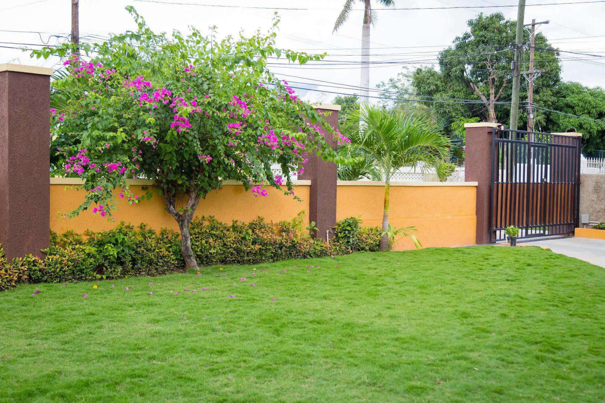 Centrally Located Guest Apartments Kingston Extérieur photo