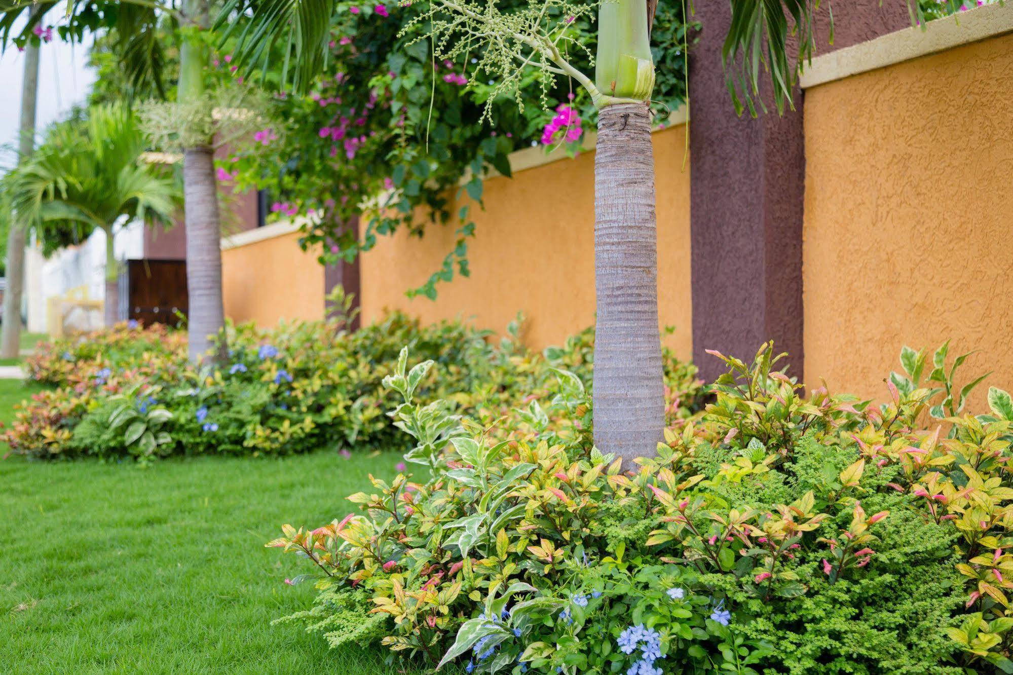 Centrally Located Guest Apartments Kingston Extérieur photo
